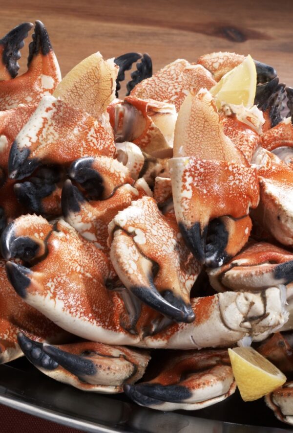 Stone crabs presented on a silver plate.